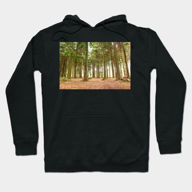 Pine Forest Hoodie by pinkal